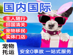 长沙黄花航空空运国际宠物托运 【国